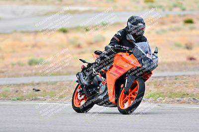 media/Apr-26-2025-2WTD (Sat) [[797c348bd3]]/C Group/240pm/